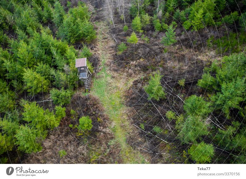 #Hochsitz im Wald von Oben Winter Umwelt Natur Landschaft Feld ästhetisch Jagd Tier Luftaufnahme Farbfoto Außenaufnahme