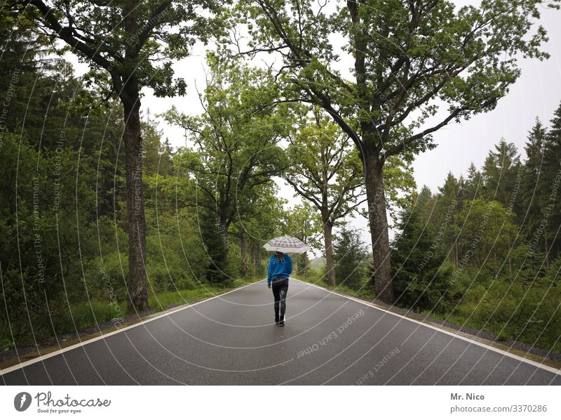 Junge Frau geht auf einer Landstraße spazieren Straße Allee Spazieren gehen Regenschirm Einsamkeit Wege & Pfade Landschaft Verkehrswege Umwelt Asphalt Herbst