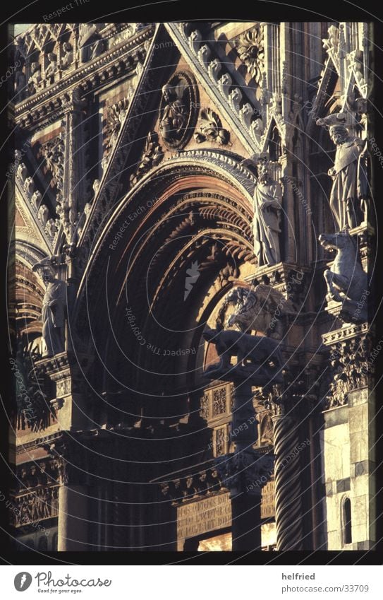 duomo di siena Europa Italien Toskana Dom von Pisa Gotik Portal Architektur Siena Marmor Detailaufnahme