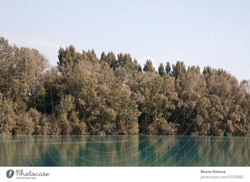 Ganz schön grün 1 See Spiegel Wasser Wald Spiegelung Himmel blau