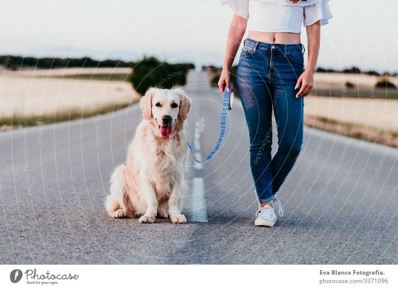 junge Frau, die mit einem schönen Golden Retriever-Hund im Freien steht. Sommerzeit Straße urban Landschaft Feld Sonnenuntergang laufen Glück Training Labrador