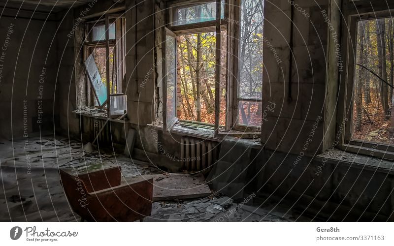 Stuhl im Zimmer eines alten ruinierten, verlassenen Hauses in Tschernobyl Möbel Natur Pflanze Himmel Wolken Herbst Baum Wald Ruine Straße dreckig dunkel trist