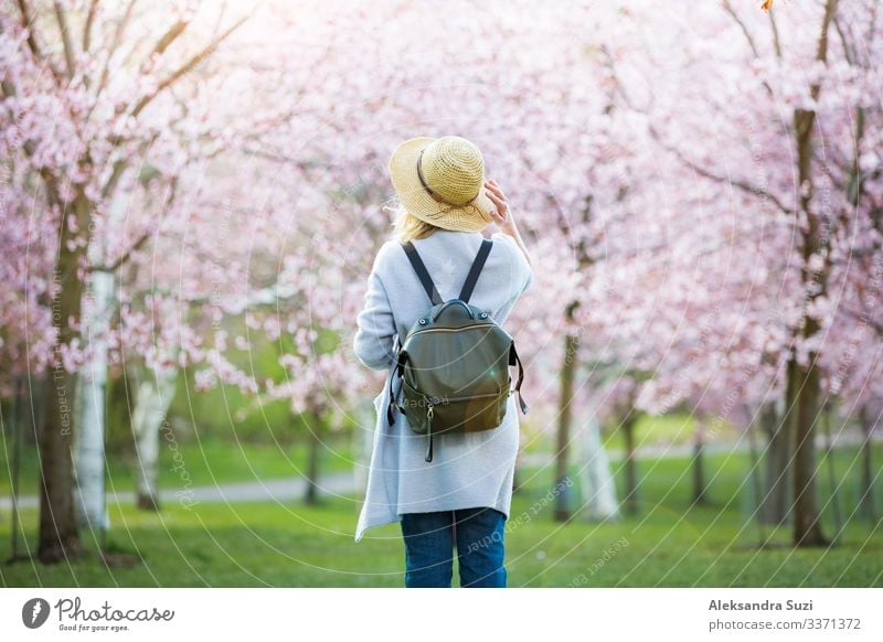 Schöne Frau in Strohhut Reisen in schönen Park mit Kirschbäumen in der Blüte, genießen die Natur im Frühjahr. Tourist mit Rucksack. Rückansicht Abenteuer Rücken