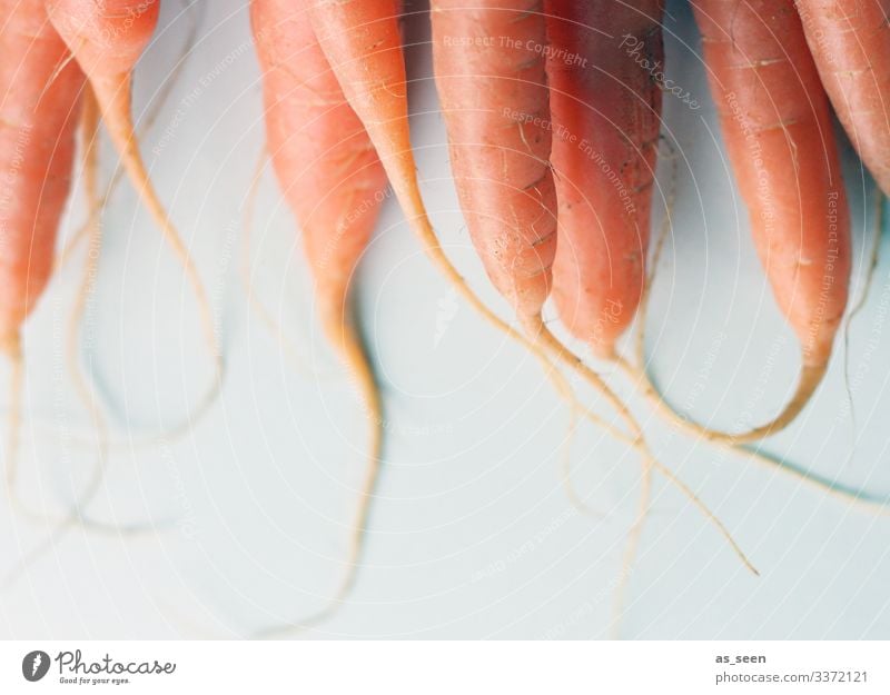 Karotten Möhren Möhrensaft Gemüse Ernährung Vegetarische Ernährung Gesundheit Lebensmittel Farbfoto Bioprodukte frisch lecker Innenaufnahme Diät Essen