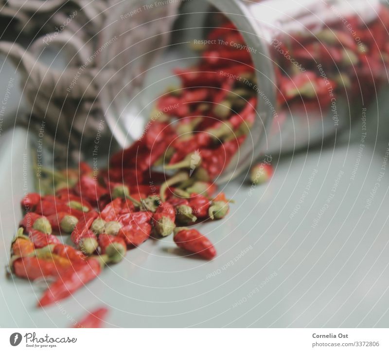 Ganz schön scharf &#127798; Lebensmittel Gemüse Kräuter & Gewürze Ernährung Essen Bioprodukte Glas Gesundheit Gesunde Ernährung Sinnesorgane lecker rot Chili