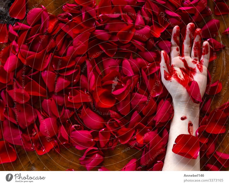 Blutverschmierte menschliche Hand liegt in roten Rosenblättern Leben Mensch Mann Erwachsene Finger Erde Nebel Blume Blatt Tropfen Liebe dreckig dunkel grün