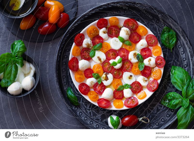 Leckerer Salat mit Tomate, Mozzarella und Basilikum als Mandala auf weißem Teller angeordnet Lebensmittel Gemüse Kräuter & Gewürze Öl Olivenöl Essig Salatsoße