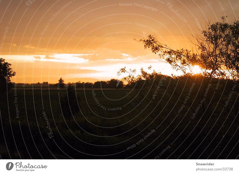 Vogesen Sonnenuntergang Weitwinkel Baum Wolken Feld Berge u. Gebirge Kontrast