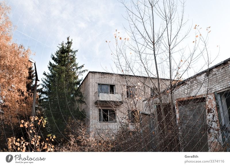altes Backsteinhaus mit Balkon und Bäumen in Tschernobyl Ferien & Urlaub & Reisen Tourismus Ausflug Haus Natur Landschaft Pflanze Himmel Herbst Baum Blatt
