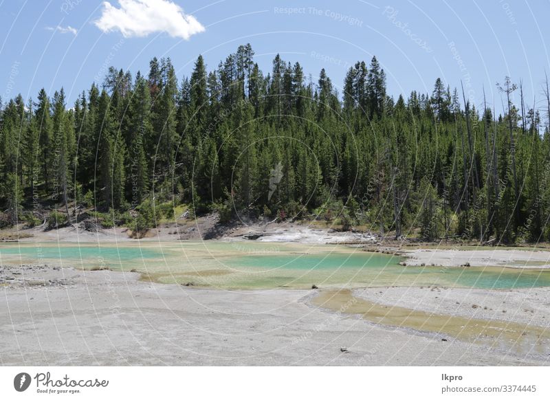 yellowstone nationalpark die natur Schwimmbad Ferien & Urlaub & Reisen Tourismus Berge u. Gebirge Natur Landschaft Park Wald Vulkan heiß natürlich