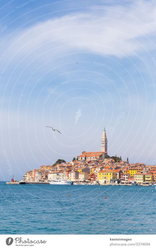 Panoramablick auf die Altstadt von Rovinj, Kroatien. Ferien & Urlaub & Reisen Tourismus Sommer Meer Himmel Wolken Küste Stadt Kirche Hafen Architektur Segelboot