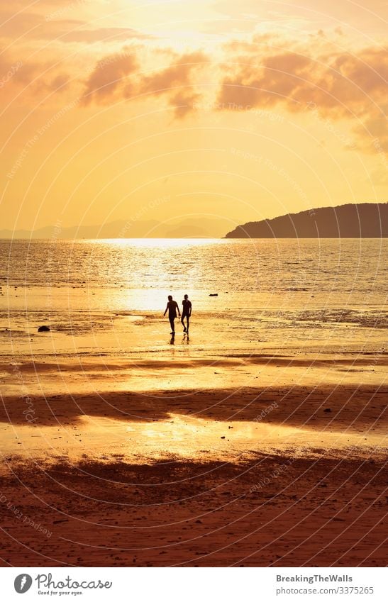 Silhouette von zwei Personen am Ufer des Sonnenuntergangs ruhig Ferien & Urlaub & Reisen Sommer Strand Meer Mensch Mann Erwachsene Freundschaft Paar 2 Himmel