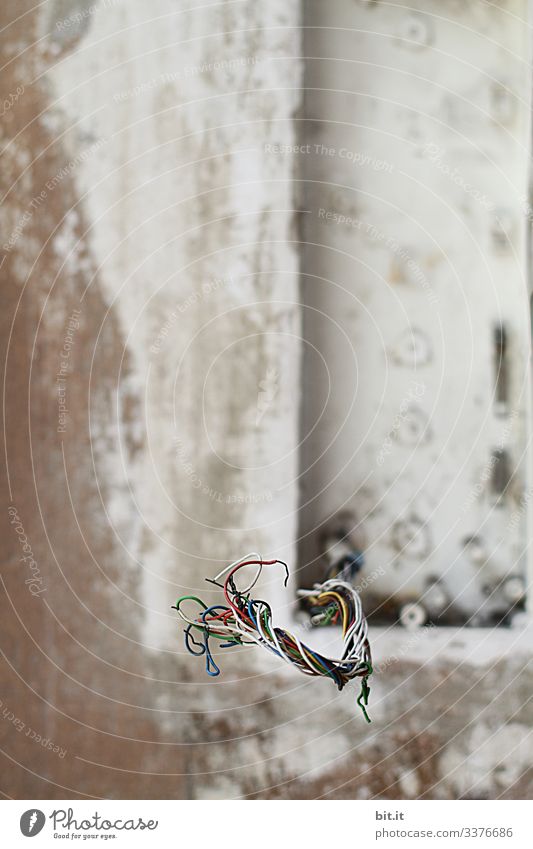 Bunte Kabel, blank, nichtisoliert, ragen aus Kabelrohr, aus der weißen, grauen Wand, unverputzt, auf einer Baustelle von einem Haus / Gebäude. Strom Stromkabel