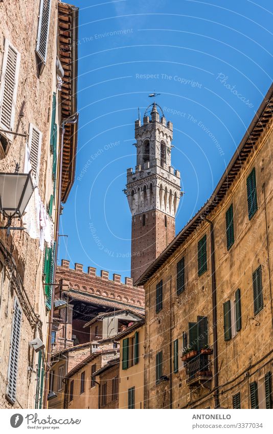 Spitze des Torre del Mangia hinter der Piazza del Campo Ferien & Urlaub & Reisen Tourismus Sommer Hausbau Kunst Architektur Himmel Wolkenloser Himmel