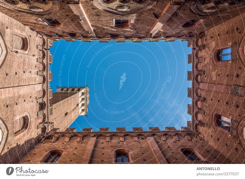 Briefmarke im Inneren des Palazzo Comunale in Siena Ferien & Urlaub & Reisen Tourismus Sommer Kunst Architektur Himmel Wolkenloser Himmel Frühling