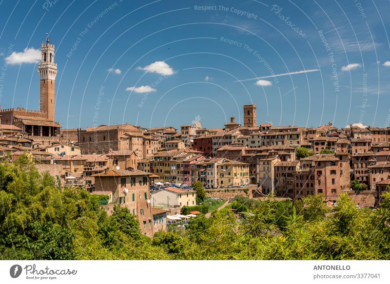 Blick auf Siena von Süden mit dem Mangia-Turm Ferien & Urlaub & Reisen Tourismus Sommer Wohnung Haus Architektur Landschaft Himmel Wolken Frühling