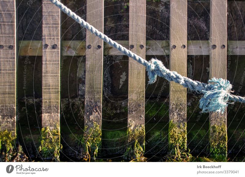 alter Knoten im Hafen vor Spundwand Seil fest Vertrauen Sicherheit entdecken Farbfoto Textfreiraum links