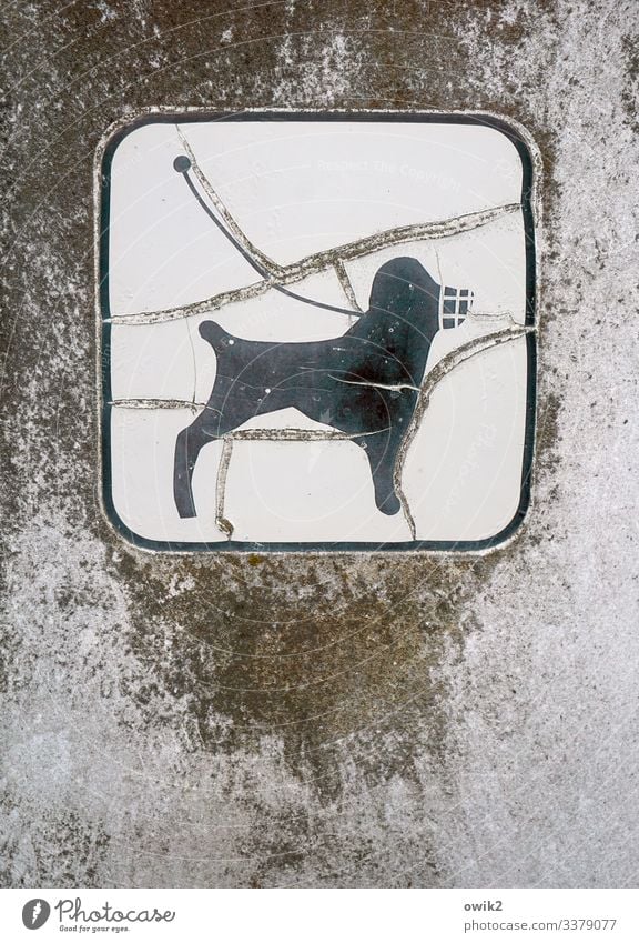 Hundeleben 1 Tier Kunststoff Zeichen Schilder & Markierungen Hinweisschild Warnschild alt Verfall Zerstörung Leinenzwang Hundeleine Maulkorb Piktogramm