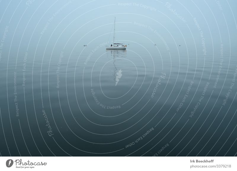 Segelboot auf der Ostsee im Nebel bei Flaute ruhig Segeln Natur Wasser Wolkenloser Himmel Nordsee Meer Sportboot Jacht Segelschiff Ferne maritim blau Sehnsucht