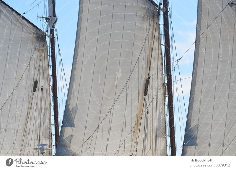 Ausschnitt von Segeln vor blauem Sommerhimmel Ferien & Urlaub & Reisen Abenteuer Segelboot Segelschiff Wasserfahrzeug Seil Bewegung träumen ästhetisch
