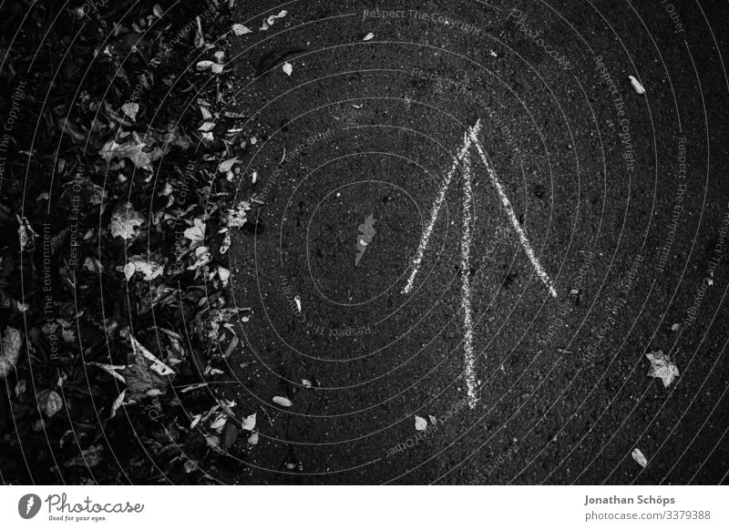 Pfeil auf Waldweg zeigt nach oben Abstrakter schwarzer Hintergrund Achtsamkeit Außenaufnahme Besinnung Chemnitz Darkmode Herbst Jahreszeit Laub