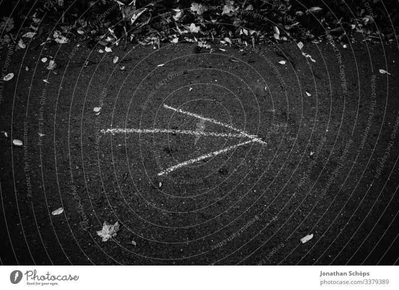 Pfeil auf Waldweg zeigt nach rechts Abstrakter schwarzer Hintergrund Achtsamkeit Außenaufnahme Besinnung Chemnitz Darkmode Herbst Jahreszeit Laub