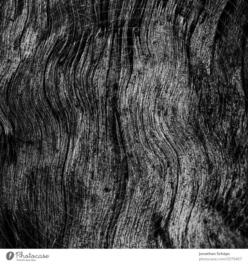Minimale schwarze Textur im Hintergrund Holz Abstrakter schwarzer Hintergrund Herbst Schwarze Textur Minimales Schwarz Minimalismus Minimalistisches Schwarz