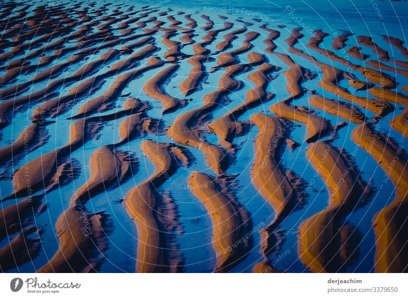 Wellenmuster ( Rippelmarke ) entstehen  bei Ebbe am Strand bei ablaufendem Wasser. Durch das Sonnenlicht erscheint es in blauer Farbe. Natur Meer Farbfoto Küste