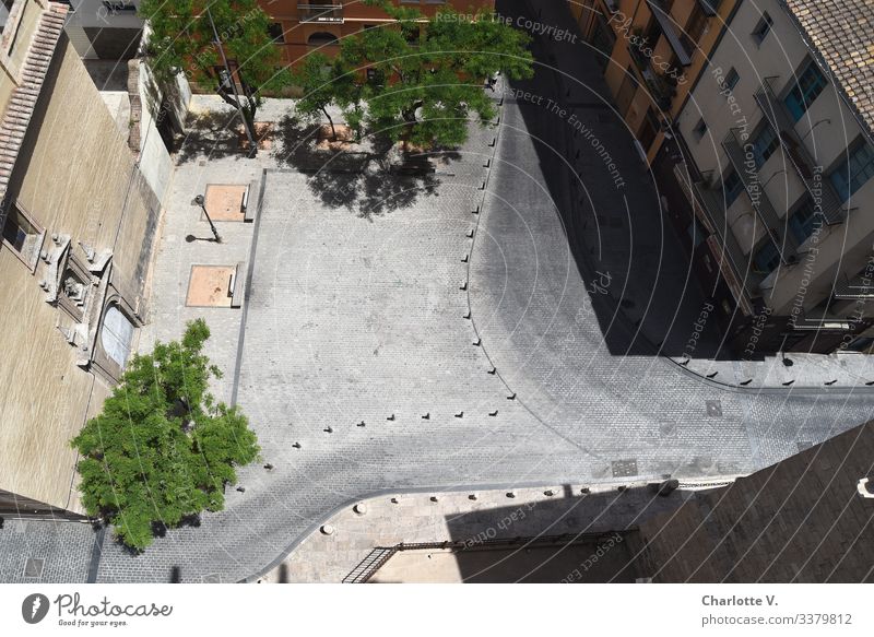 Vogelsperspektive | Leerer, von Häusern umrahmter Platz in der Mittagshitze. Blickwinkel: Von oben. Umwelt Pflanze Baum Valencia Spanien Europa Stadt