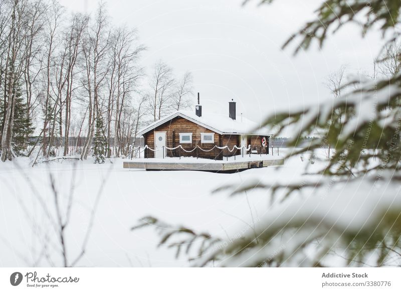Bäuerliches Haus im verschneiten Wald Winter Schnee Baum Landschaft Natur ländlich weiß kalt Saison laublos malerisch Wetter ruhig reisen Schwedisch Lappland