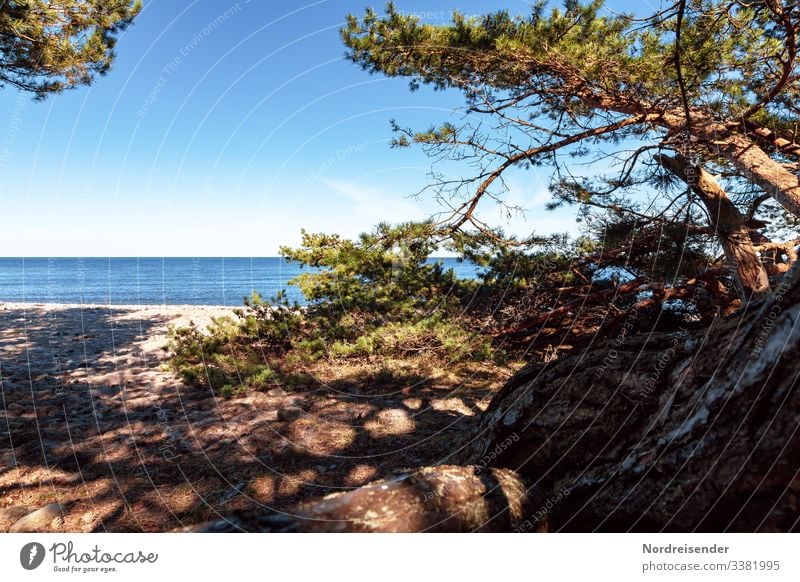 Ostseestrand auf Öland in Schweden ruhig Ferien & Urlaub & Reisen Tourismus Ferne Freiheit Camping Sommerurlaub Sonne Strand Meer Insel Natur Landschaft Sand