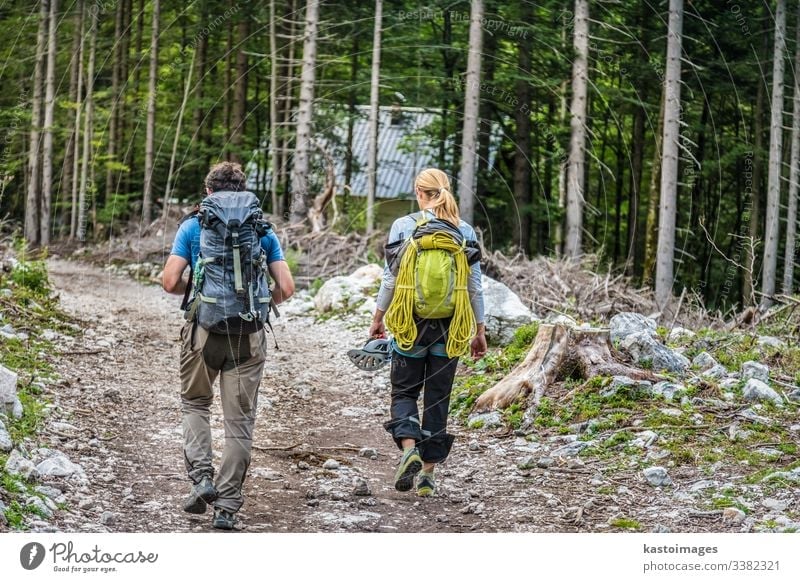 Rückansicht von zwei jungen aktiven Paaren, die den Pfad im Wald entlanglaufen. Abenteuer Wanderung wandern Natur Lifestyle Rucksack Menschen reisen Trekking