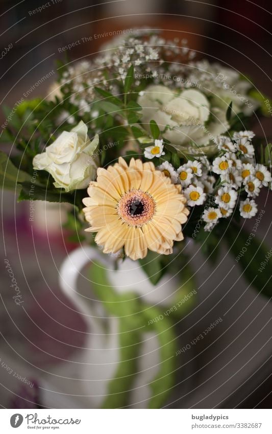 Blumenstrauß mit Gerbera, Margeriten, weißen Rosen, weißem Kohl und Schleierkraut in weißer Emaille-Vase auf Tisch margeriten Muttertag Geburtstag Valentinstag
