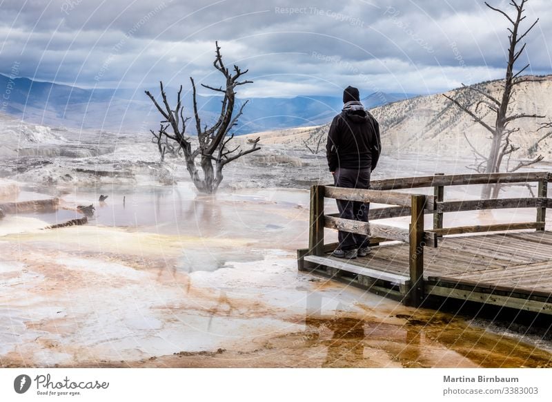 Männlicher Tourist, der die Aussicht auf die Mammoth Hot Spring, Yellowstone National Park, genießt Mann eine Person Tourismus Toter Baum Landschaft Mammut heiß