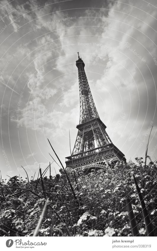 Der schiefe Turm von Parisa Park Wiese Frankreich Hauptstadt Stadtzentrum Bauwerk Gebäude Architektur Sehenswürdigkeit Wahrzeichen Tour d'Eiffel Blühend