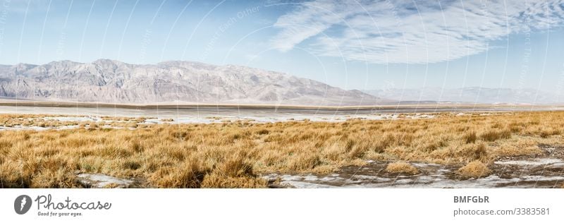 salt creek im Death Valley USA Salt Creek Sand trockenes Land endemisch Gelände Weg Geologie Umwelt Ödland Pflanzen Gras tot Bach Promenade Berg Tod Hitze