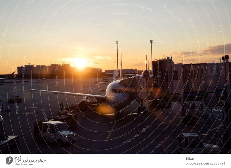 Ein Flugzeug bei der Abfertigung am Flughafen im Sonnenuntergang flugzeug fliegen flugverkehr flughafen reisen sonnenaufgang sonnenuntergang abfertigung fernweh