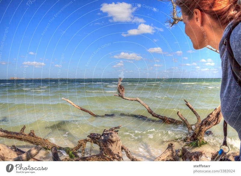 Vogelfrau beobachtet einen Braunen Pelikan Pelecanus occidentalis Frau beobachten zuschauen Vogelbeobachtung Brauner Pelikan Wasservögel Tier Tierwelt schwimmen