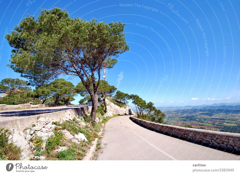 Puig de Sant Salvador Spanien Mallorca Berg Straße Natursteinmauer Pinien Aleppo-Kiefer Aussicht Ferne Ferien & Urlaub & Reisen Himmel Landschaft Sommer