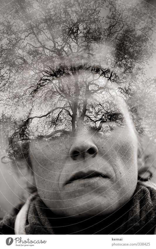Helgiland | Mind-Mapping Mensch feminin Frau Erwachsene Leben Kopf Gesicht Auge Nase Mund Lippen Kinn 1 30-45 Jahre Umwelt Natur Baum Ast Zweig Blick Wachstum