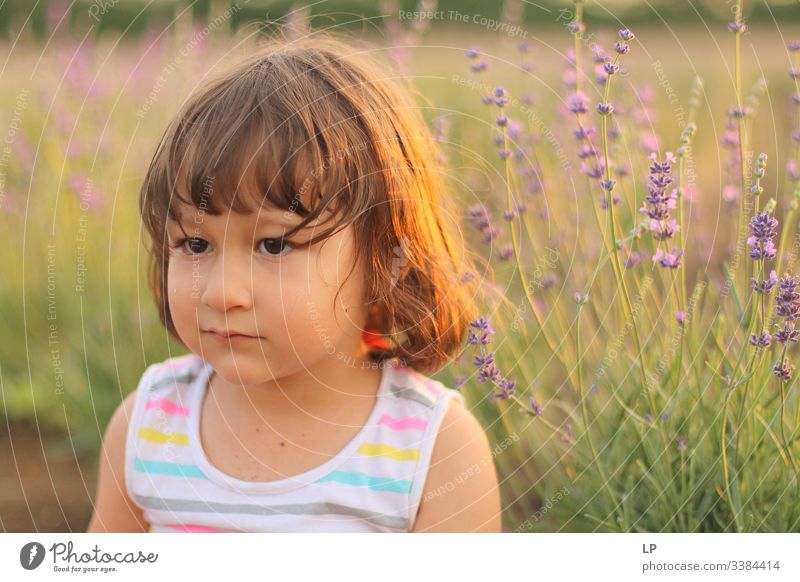 Hübsches Mädchen in einem Lavendelfeld bei Sonnenuntergang Kindheit Reinheit Familie & Verwandtschaft seriös schön Porträt Lächeln Sommer Mensch Farbfoto Blick