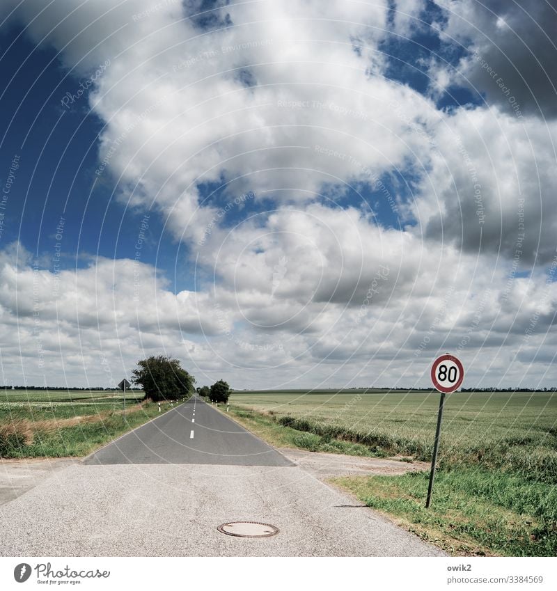 Vorsicht, Blitzer Straße Flachland gerade geradeaus Himmel Wolken Horizont Landschaft Menschenleer Außenaufnahme Ferne Umwelt Textfreiraum unten Freiheit Ziel