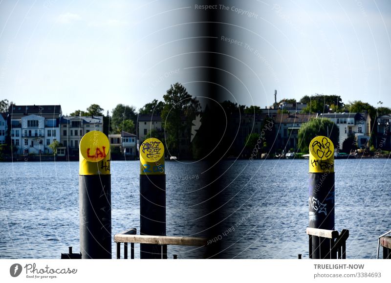 Anlegestelle für Wassertaxi am Tiefen See (Havel) in Babelsberg mit Holzgeländer, runden Stahlpfeilern, gelb und grau, Graffitti verziert mit Blick auf Potsdamer Ufer, Marina und Bäumen