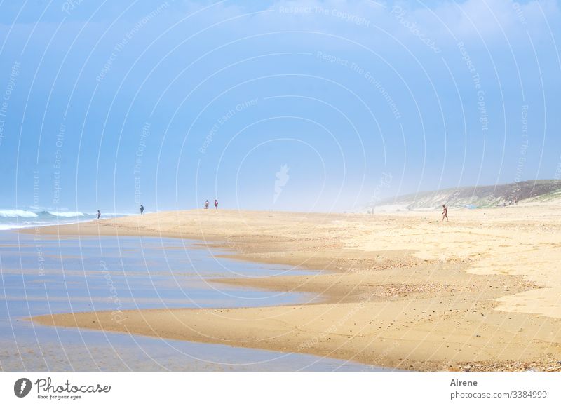 vorbildliches Verhalten am Strand | corona thoughts Sommerurlaub Meer Wasser Schönes Wetter Küste Sand Tag Sonnenlicht Mensch Totale Licht Erwachsene Urelemente
