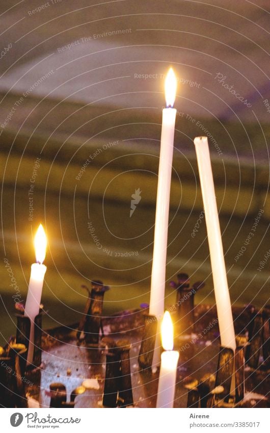 nichts unversucht lassen | corona thoughts Kerzenschein Kerzenständer Kerzenlicht Kerzenaltar Kerzenflamme Feuer Religion & Glaube Innenaufnahme Licht leuchten