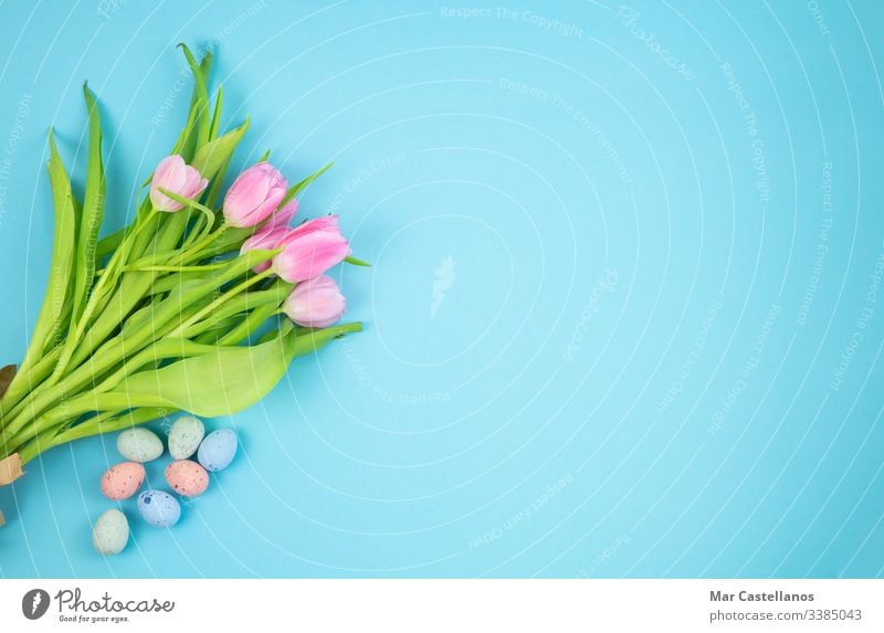 Blumenstrauß aus Tulpen und Ostereiern auf blauem Hintergrund. Konzept von Ostern. Raum kopieren. Eier Textfreiraum Postkarte Blauer Hintergrund Feier Einladung