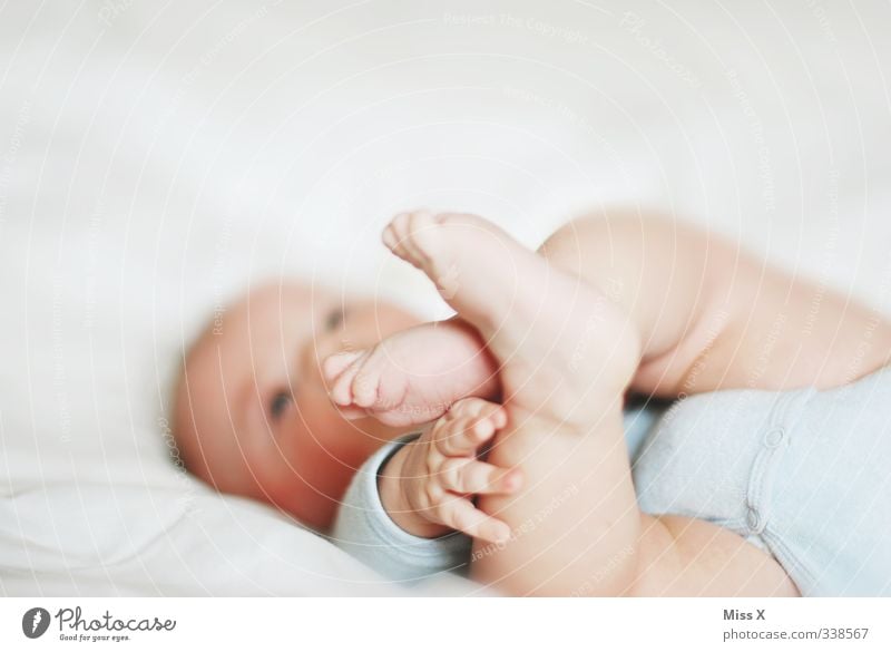 Füßchen Mensch Baby Kindheit Leben 1 0-12 Monate Spielen klein niedlich Babybett Fuß Farbfoto Nahaufnahme Textfreiraum oben Schwache Tiefenschärfe