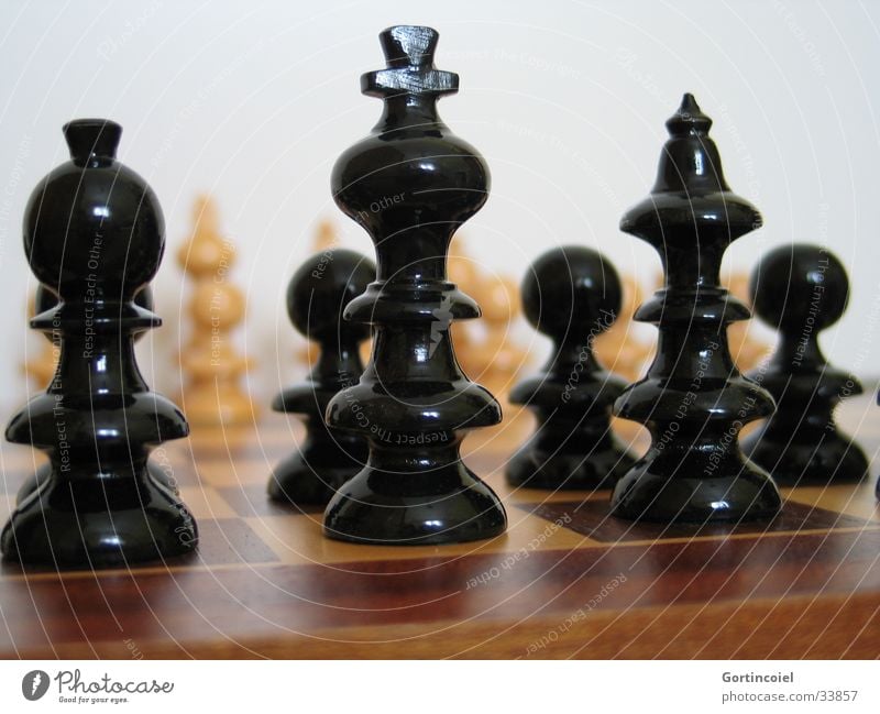 Schach Freude Freizeit & Hobby Spielen planen Erfolg Verlierer Sportveranstaltung Schachfigur Schachbrett schwarz weiß Niederlage Holzbrett Verstand Denken
