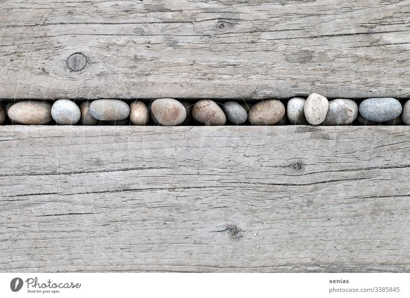 runde Steine in Reihe zwischen hellen Holzbrettern Bretter rustikal Strukturen & Formen Linie Kieselsteine holz Hintergrund hart