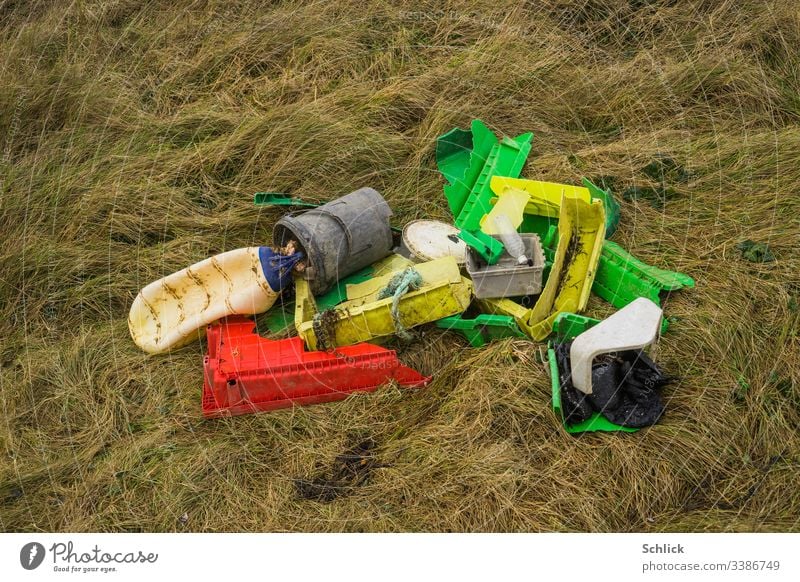 Treibgut Plastikmüll zusammengetragen auf Gras in Küstennähe Müll Küste+ angespült Schwemmgut polymer Umwelt Ökologie Umweltschutz Umweltverschmutzung